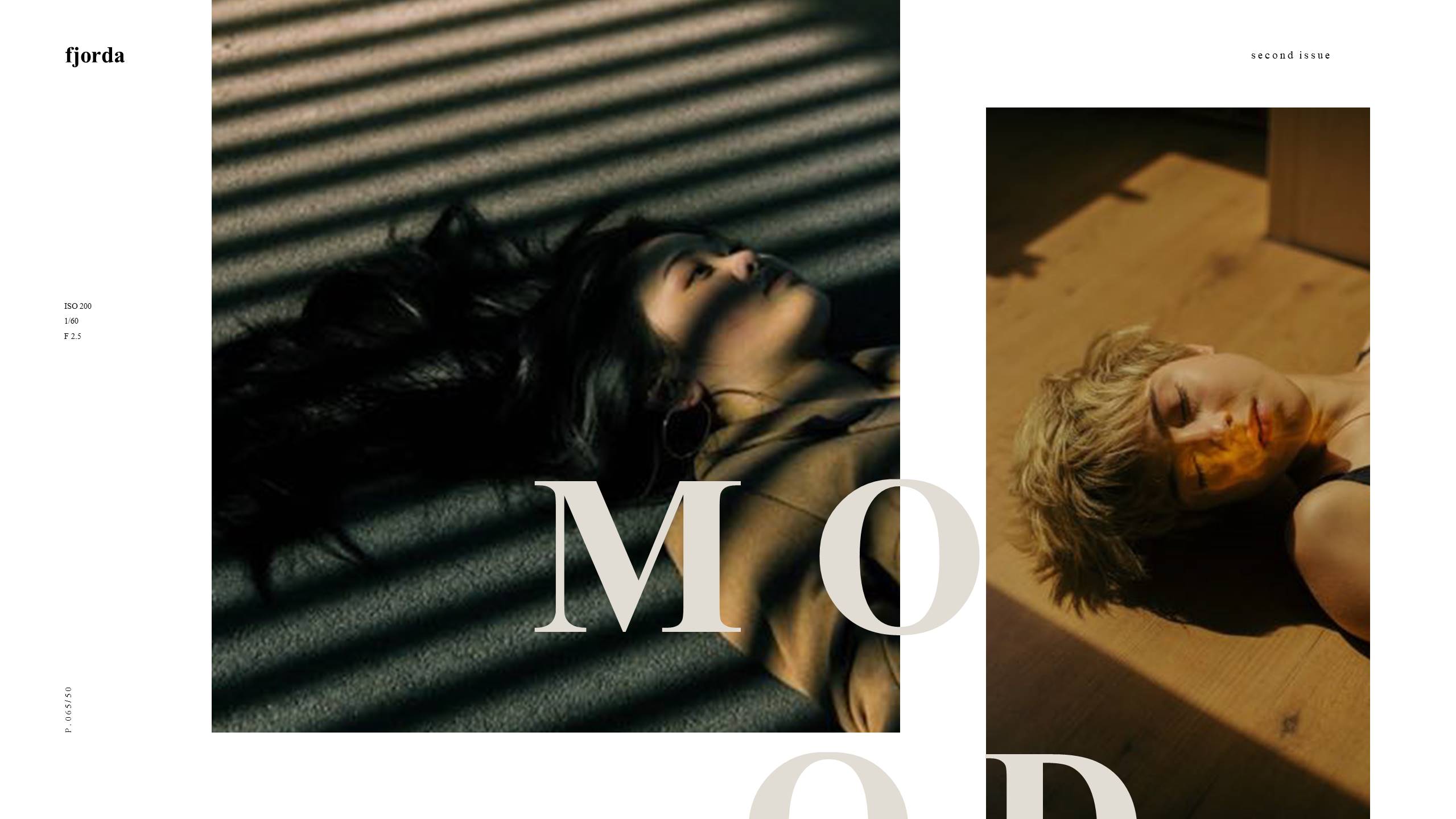 时尚风格 (5).pptx